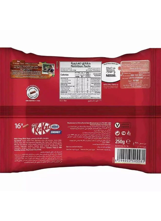 Nestle - Chunky Mini Milk Chocolate Bar 250gms (16 Minis) - Image 1