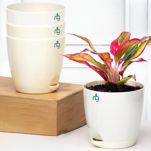 Nurturing Green® Combo of 4 Self Watering Flower Pots for Plants | Plastic Plant Pots | Planter Pots for Home, Indoor Living Room,Garden (Color: Ivory, Size: 11.5cm x 11cm Each) - Image 1