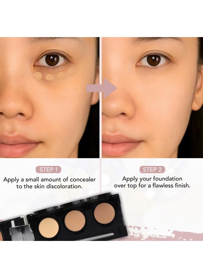 dermaflage لوحة خافي العيوب بتغطية كاملة، كريم خافي عيوب مقاوم للماء، 3 ألوان + فرشاة، بواسطة - Image 3