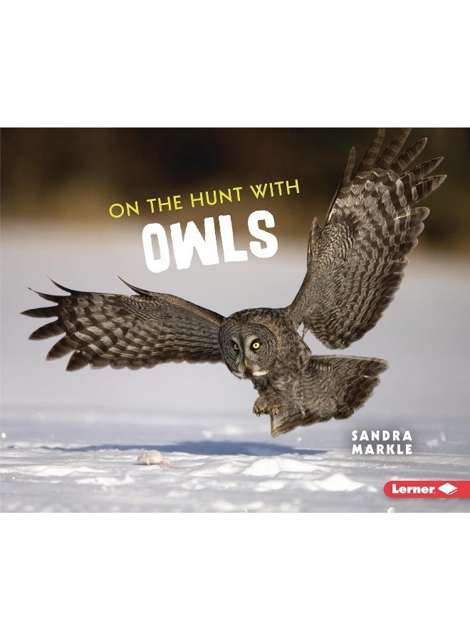 On the Hunt with Owls 