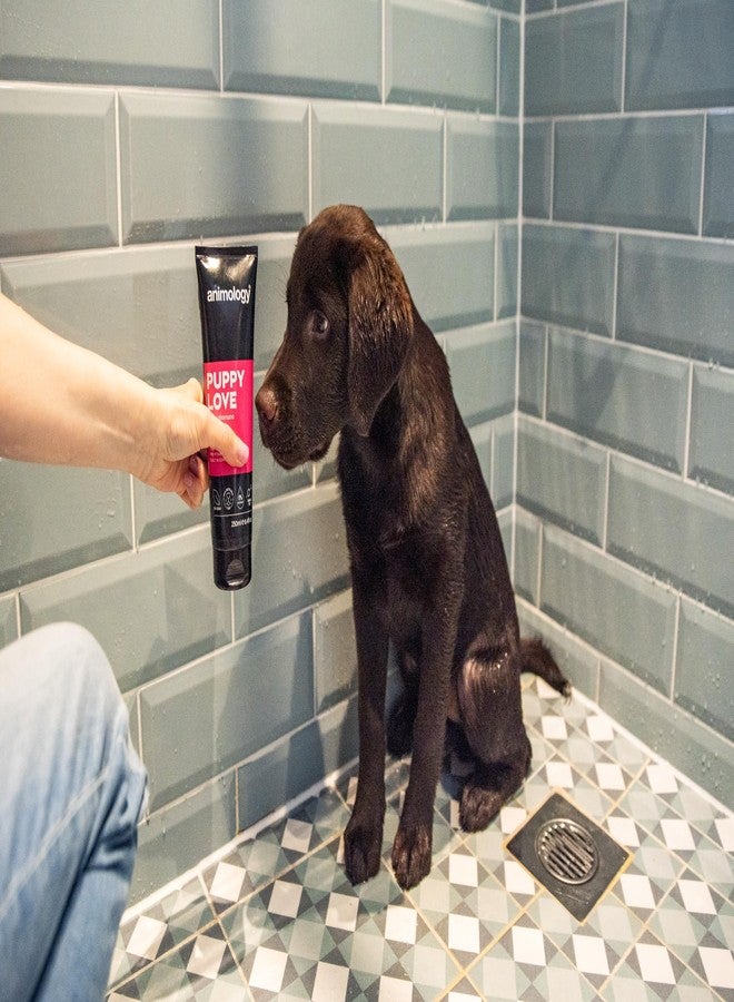 Animology Dog Shampoo Puppy Love Gentle Skin 250ml - Image 5