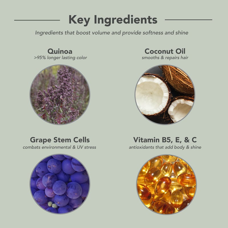 FRAMESI Color Lover Volume Boost Conditioner, 16.9 fl oz, Sulfate Free Volumizing Conditioner with Quinoa and Coconut Oil, Color Treated Hair - Image 4