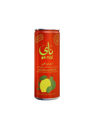 Moroccan Mint Tea 240ml - pzsku/Z6DDB44A4451EA602D507Z/45/_/1693471495/e27ac2c4-5caf-4ba7-9e00-f4da6e3a485c