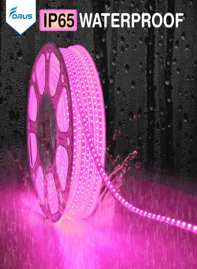 Forus حبل إضاءة LED من فوروس، طوله 5 أمتار، مع ضمان لمدة 6 أشهر، مقاوم للماء، إضاءة خارجية زخرفية مخفية للسقف والشرفة وديكور المنزل والديكور الداخلي، إضاءة مرنة مناسبة لأعياد ديوالي وعيد الميلاد - لون وردي - Image 5