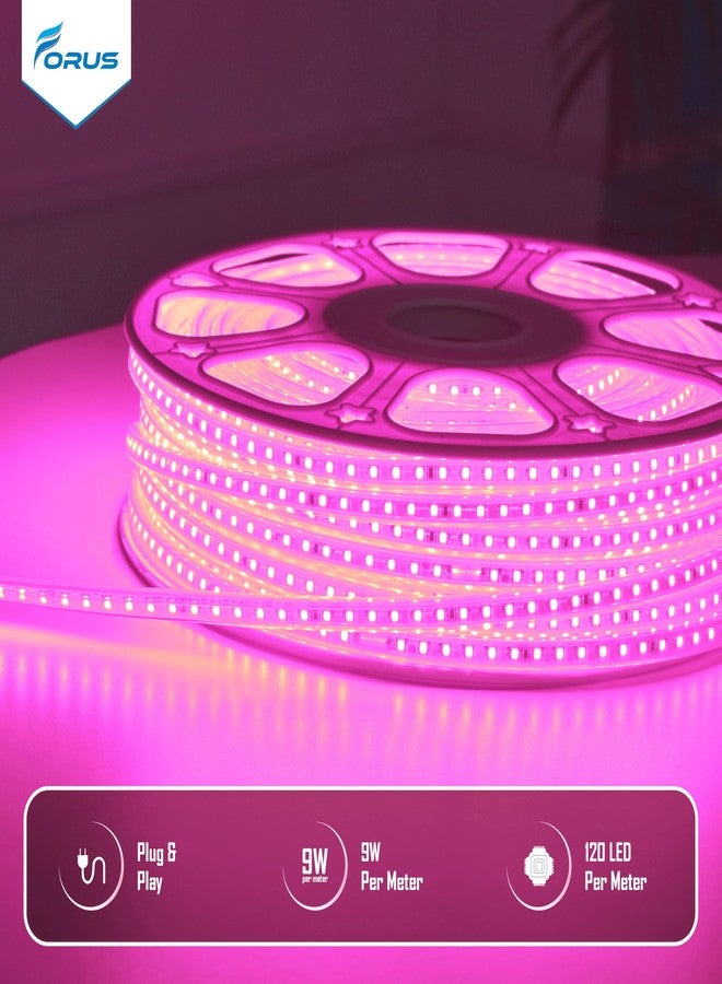 Forus حبل إضاءة LED من فوروس، طوله 5 أمتار، مع ضمان لمدة 6 أشهر، مقاوم للماء، إضاءة خارجية زخرفية مخفية للسقف والشرفة وديكور المنزل والديكور الداخلي، إضاءة مرنة مناسبة لأعياد ديوالي وعيد الميلاد - لون وردي - Image 4