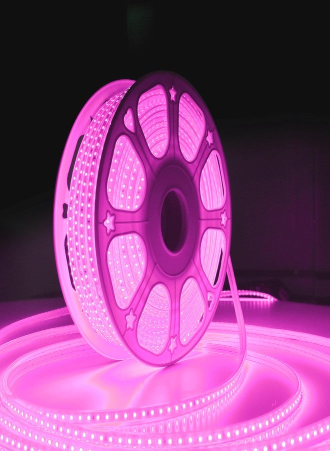 Forus حبل إضاءة LED من فوروس، طوله 5 أمتار، مع ضمان لمدة 6 أشهر، مقاوم للماء، إضاءة خارجية زخرفية مخفية للسقف والشرفة وديكور المنزل والديكور الداخلي، إضاءة مرنة مناسبة لأعياد ديوالي وعيد الميلاد - لون وردي - Image 1