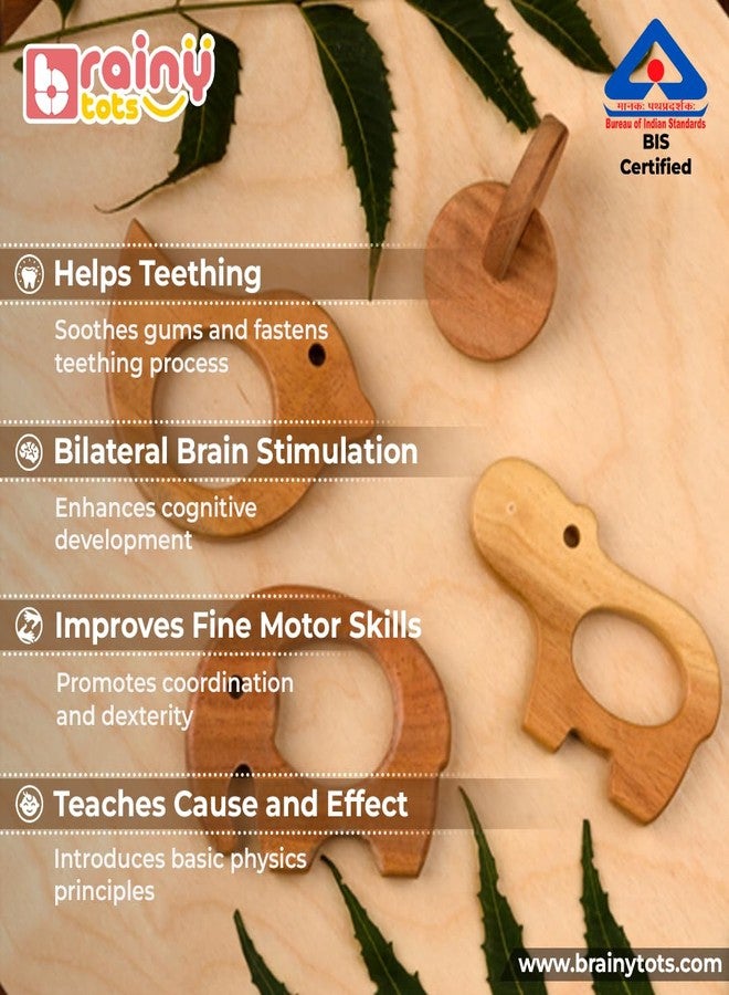 BrainyTots Soft Neem Wood 4 Teethers Set for 3 Months - 1 Year, Montessori Baby Teething Toy for Babies with Textured Surface for Soothing Gums | Non-Toxic, Natural, Easy-to-Hold Shapes | Soothes Gums, Builds Grip & Hand–Eye Coordination | For Newborns & Infants - Image 2