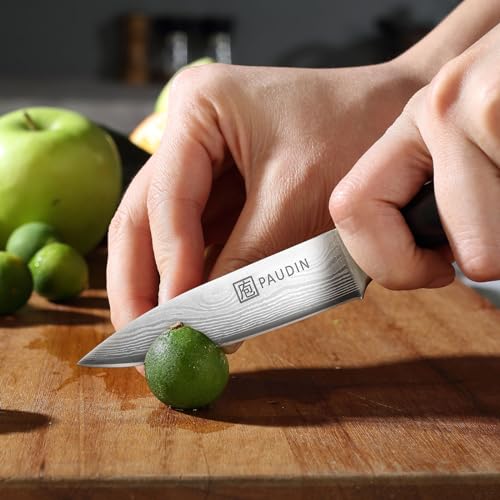 PAUDIN Paring Knife, 3.5 Inch Fruit Knife, High Carbon 5Cr15Mov Stainless Steel Forged Paring Knife, Ultra Sharp Small Kitchen Knife, Ergonomic Wooden Handle with Elegant Gift Box - Image 4