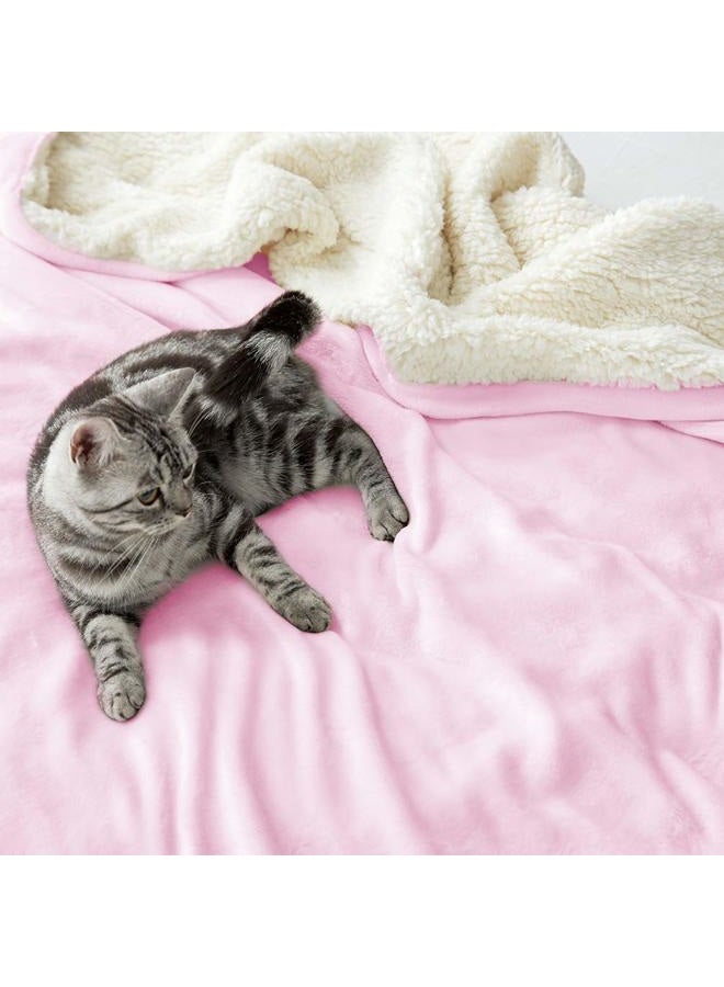 LBRO2M Sherpa Fleece Bed Blanket Queen Size Super Soft Fuzzy Plush Warm Cozy Fluffy Microfiber Couch Throw Velvet Double Reversible Luxurious Blankets,Pink - Image 5