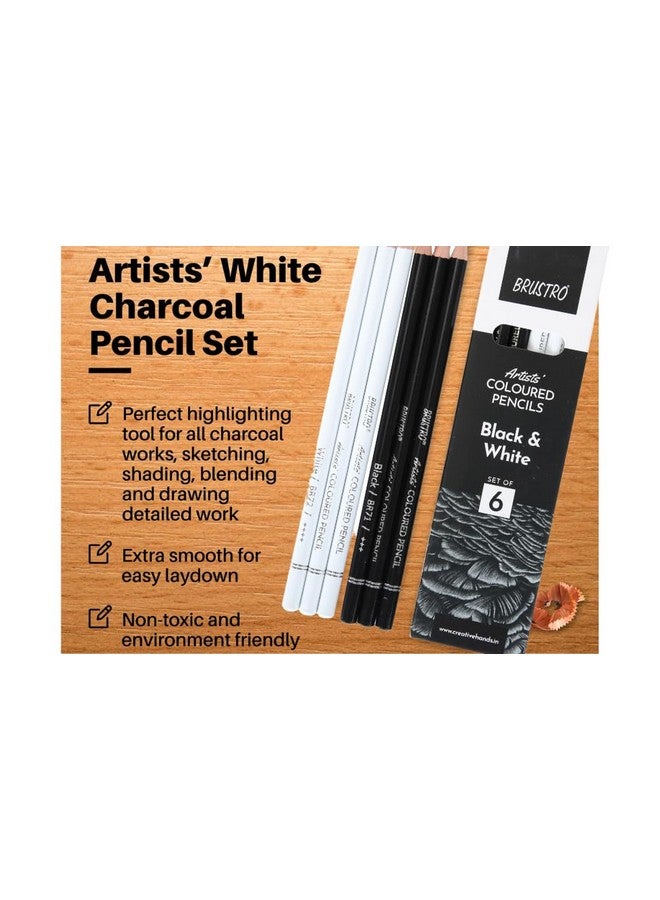 بروسترو أقلام الرصاص الملونة للفنانين من BRUSTRO | باللونين الأبيض والأسود | مجموعة من 6 أقلام (3 باللون الأبيض و3 باللون الأسود) | مثالية للطلاب والبالغين، والتلوين، والرسم، والتظليل، والرسم، والمزج، وفن الماندالا، والمدرسة، والاستخدام المكتبي - Image 5