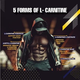 infinite labs l carnitine UAE Store | Best Price Offers GH Levels Color:7NF Medium Blonde Cool Natural ⛅ Glow, from AM
