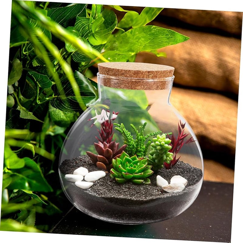 Round Glass Terrarium Bottle 500ml with Cork Stopper for Moss Plants Home Decoration - Image 4