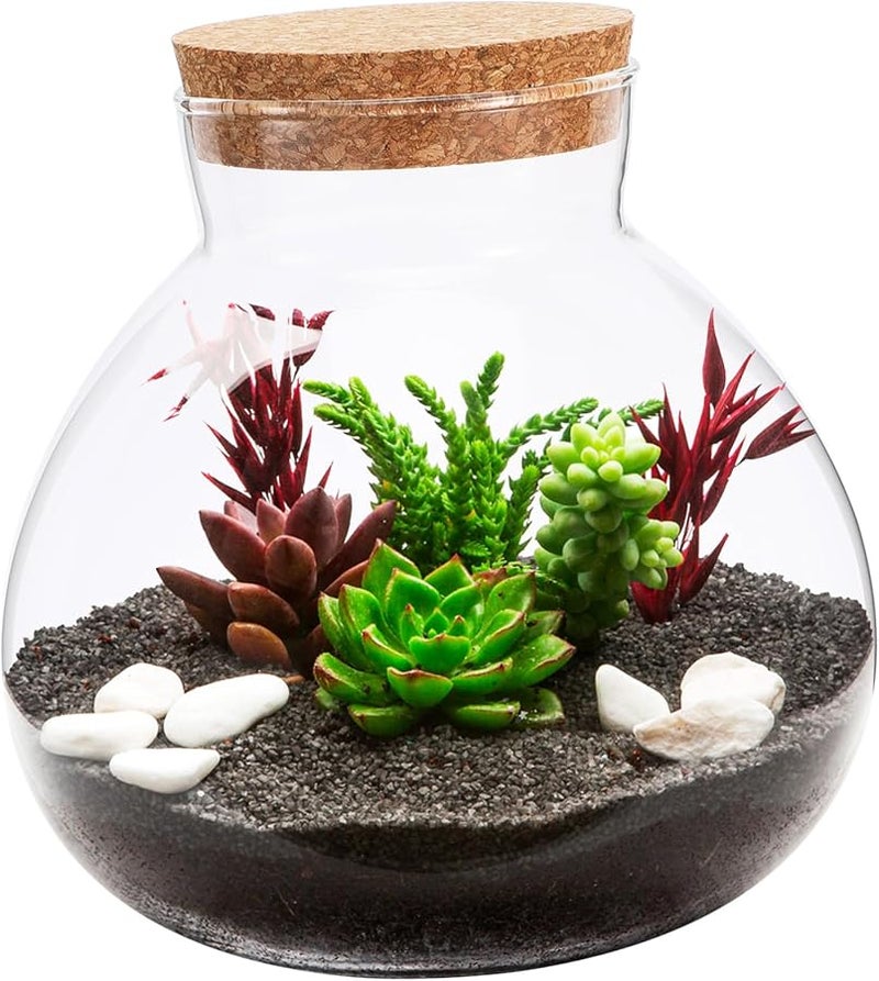 Round Glass Terrarium Bottle 500ml with Cork Stopper for Moss Plants Home Decoration - Image 1