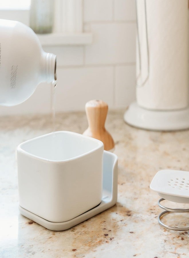 Full Circle Bubble Up Combo-Family Safe,Formaldehyde-Free-Gray Ceramic Soap Dish with Plant-Based Sponge & Bamboo Dish Brush-Versatile Kitchen Scrub Brush Set for Pots,Pans,Counter & Sink,White - Image 5