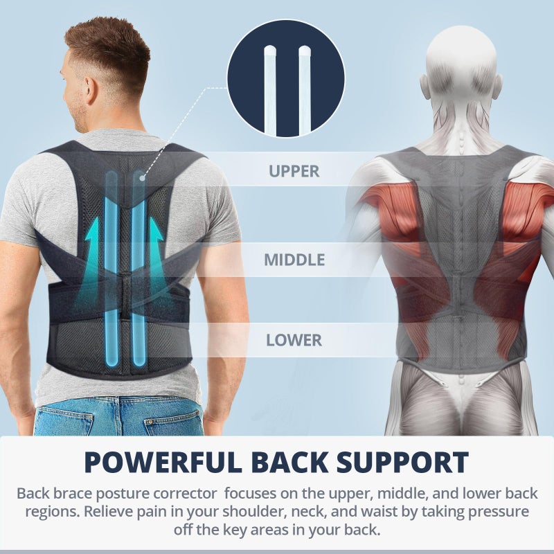 Fitsupport Back Brace Posture Corrector for Women and Men Back Lumbar Support Shoulder Posture Support for Improve Posture Provide and Back Pain Relief Large(Pack of 1) - Image 2