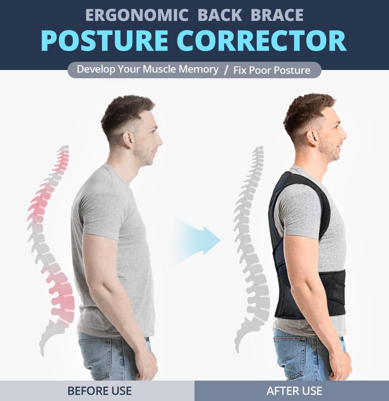 Fitsupport Back Brace Posture Corrector for Women and Men Back Lumbar Support Shoulder Posture Support for Improve Posture Provide and Back Pain Relief Large(Pack of 1) - Image 3