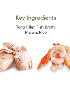 Applaws Applaws Cat Tuna with Prawn Tin 10X156g  - Image 3