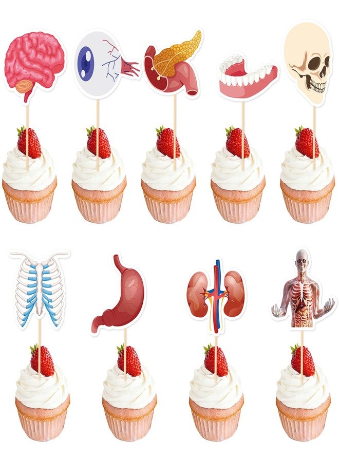 Ceonam 36 Pcs Anatomy Theme Cupcake Toppers, Mini Human Body Organ Toothpick Picks with Brain, Skull, Rib Cage, Eyeball, Stomach, Kidneys for Medical Graduation, Science Party, Classroom Clinic Table Decor - Image 1