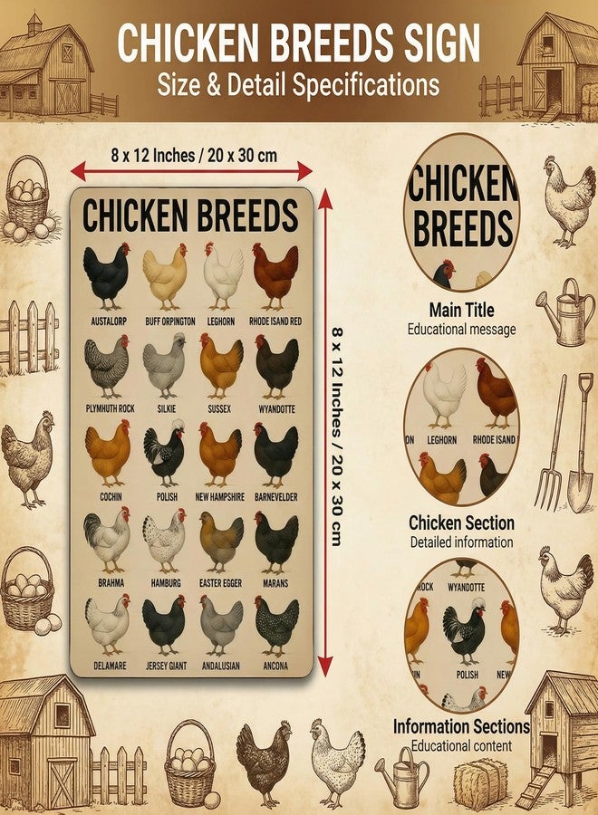 Funnysign Rooster Lovers Gifts Chicken Breeds Vintage Tin Sign for Home Kitchen Farm Chicken Coop Decor 8 x 12 Inches (3844) - Image 2