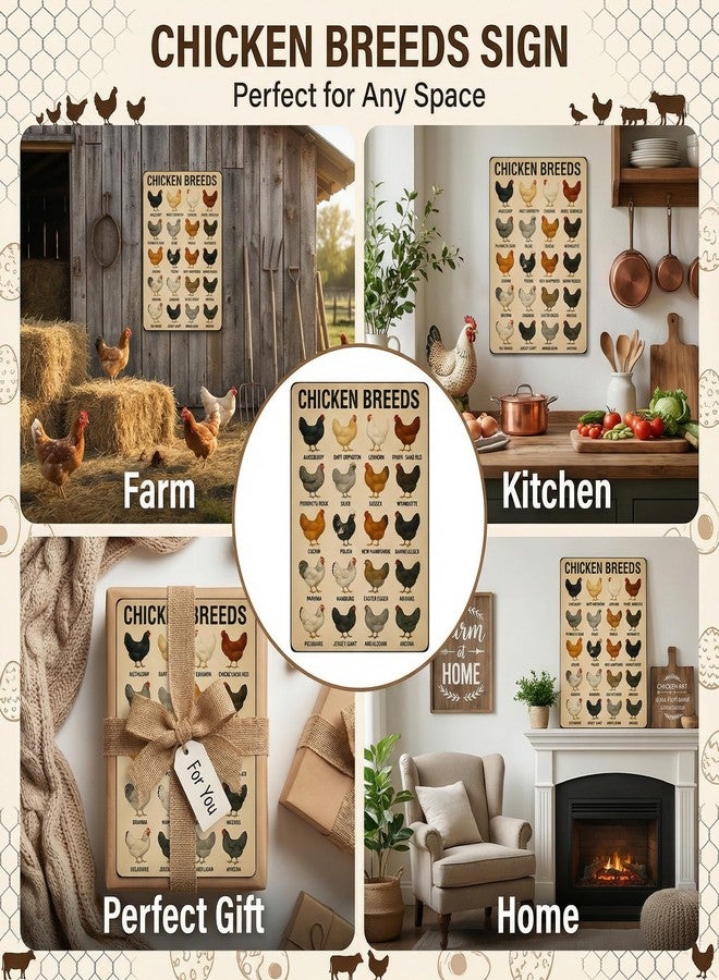 Funnysign Rooster Lovers Gifts Chicken Breeds Vintage Tin Sign for Home Kitchen Farm Chicken Coop Decor 8 x 12 Inches (3844) - Image 3