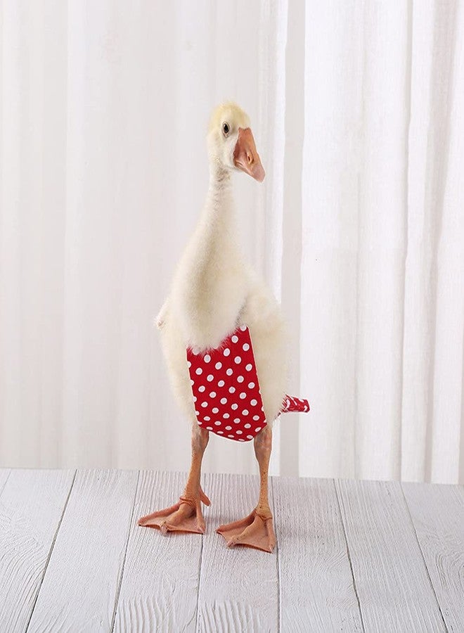 Winmany Chicken Duck Goose Diaper Washable Pet Bow Tie Diapers for Hens Roosters Poultry 1 Pack (M, Green) - Image 5