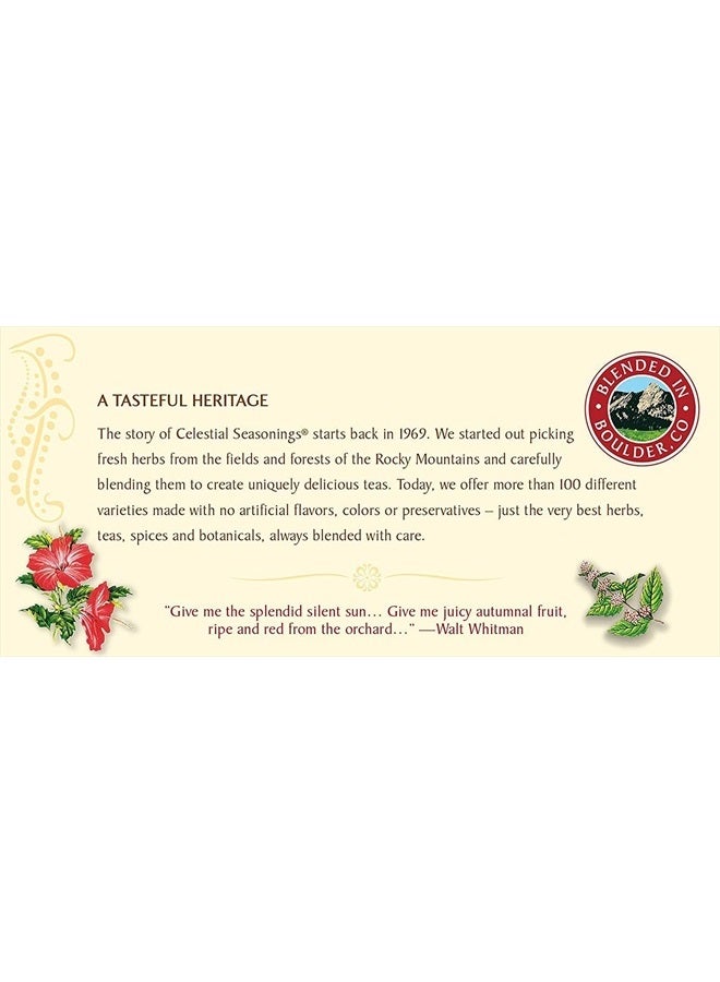 CELESTIAL SEASONINGS شاي أعشاب خالي من الكافيين، ريد زينجر 20 حبة (عبوة من 12) - Image 5