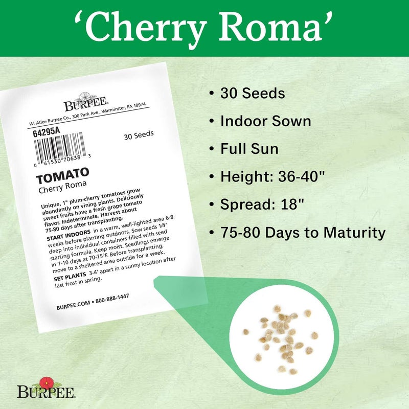 Burpee Cherry Roma  Red Paste Tomato  Sweet Flavor  30 Seeds - Image 3
