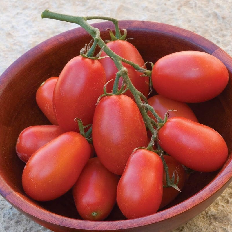 Burpee Cherry Roma  Red Paste Tomato  Sweet Flavor  30 Seeds - Image 1