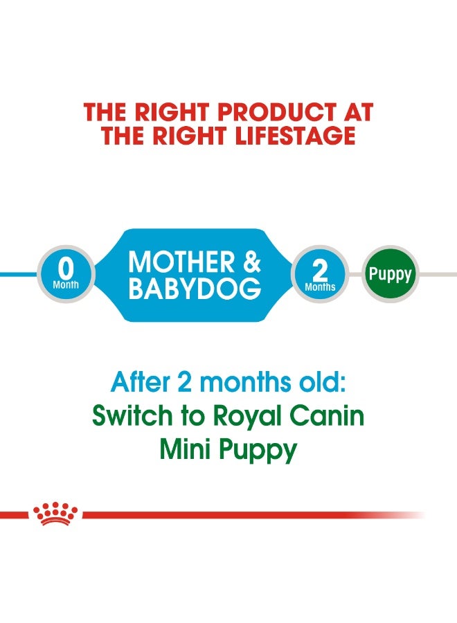 ROYAL CANIN Size Health Nutrition Mini Starter 1 kg - Image 2