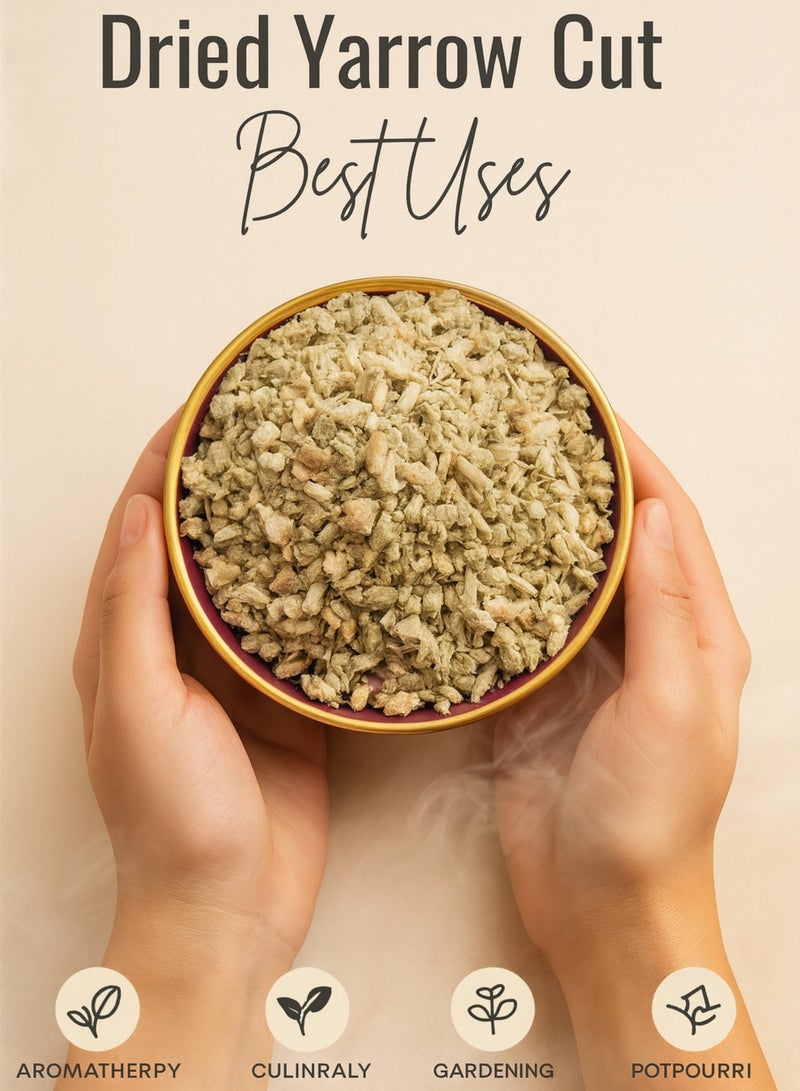 زهر عشبة يادا - يارو مجففة نقية ١٠٠٪، مقطعة | عشبة طبيعية عالية الجودة، مصنّعة يدويًا، للشاي، والعناية بالصحة والبشرة | مكوّن عشبي عالي الجودة - Image 3