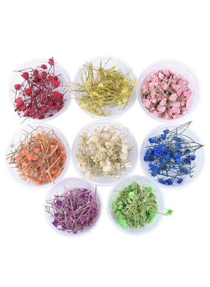 Resin Art Dry Plant Box 8 Colors 1g Per Color