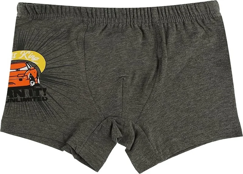 Donella 10 Pcs Race Car Printed Boy's Boxer - 757007