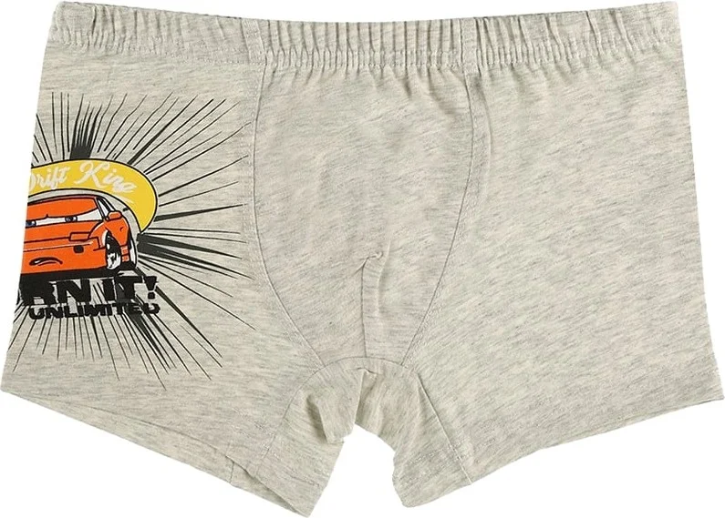 Donella 10 Pcs Race Car Printed Boy's Boxer - 757007