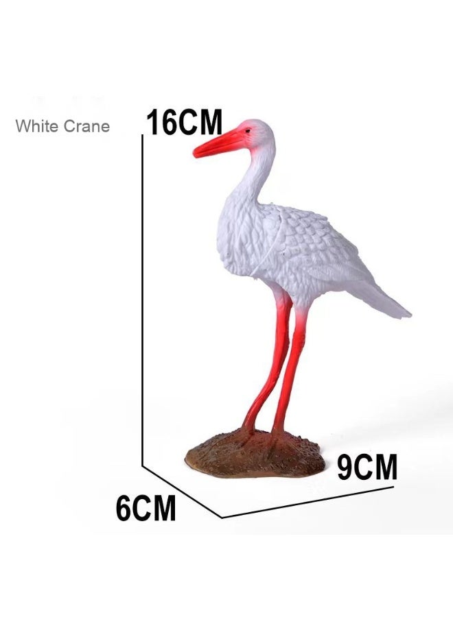 NIBEMINENT Realistic Bird Animal Model Set