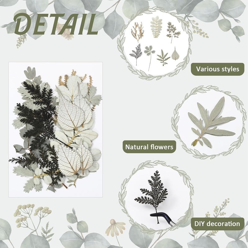 Timtin 84 Pieces Dried Pressed Leaves Dried Flowers for Resin Dried Leaves for Resin Mini Dried Flowers for Crafts Dried Greenery Assorted for Art DIY Handmade Bookmarks 4 Bags (Stylish Style) - Image 4