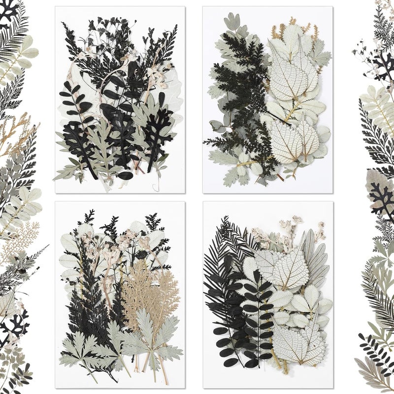 Timtin 84 Pieces Dried Pressed Leaves Dried Flowers for Resin Dried Leaves for Resin Mini Dried Flowers for Crafts Dried Greenery Assorted for Art DIY Handmade Bookmarks 4 Bags (Stylish Style) - Image 1
