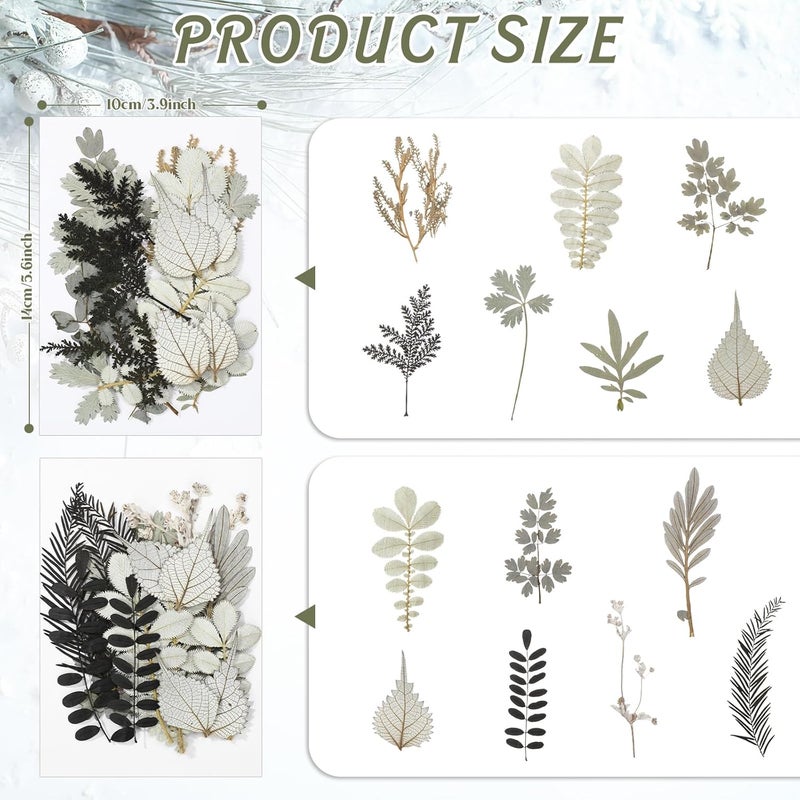 Timtin 84 Pieces Dried Pressed Leaves Dried Flowers for Resin Dried Leaves for Resin Mini Dried Flowers for Crafts Dried Greenery Assorted for Art DIY Handmade Bookmarks 4 Bags (Stylish Style) - Image 3