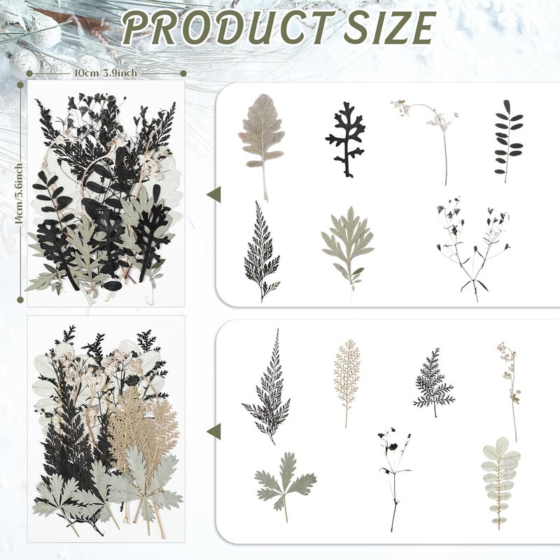 Timtin 84 Pieces Dried Pressed Leaves Dried Flowers for Resin Dried Leaves for Resin Mini Dried Flowers for Crafts Dried Greenery Assorted for Art DIY Handmade Bookmarks 4 Bags (Stylish Style) - Image 2