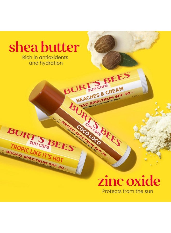 Burt's Bees Island Getaway Sun Care SPF 30 Lip Balm Stocking Stuffers, Water-Resistant Lip Moisturizer Christmas Gifts, Nano-Free Zinc Oxide Formula, Natural Conditioning Lip Treatment (3-Pack) - Image 3