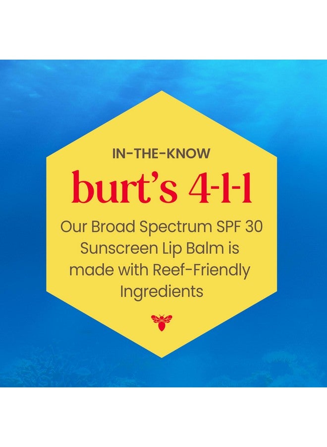 Burt's Bees Island Getaway Sun Care SPF 30 Lip Balm Stocking Stuffers, Water-Resistant Lip Moisturizer Christmas Gifts, Nano-Free Zinc Oxide Formula, Natural Conditioning Lip Treatment (3-Pack) - Image 2