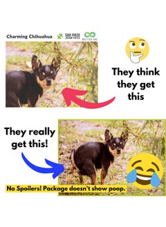 Better Me Prank Puzzle Surprise Pooping Chihuahua 500 Piece Puzzle. Prank Gift Pooping Dogs Puzzle Gag Gifts For Adults & Teens. Pooping Puppy Funny Puzzles (Pooping Chihuahua Prank Puzzle)  - Image 2
