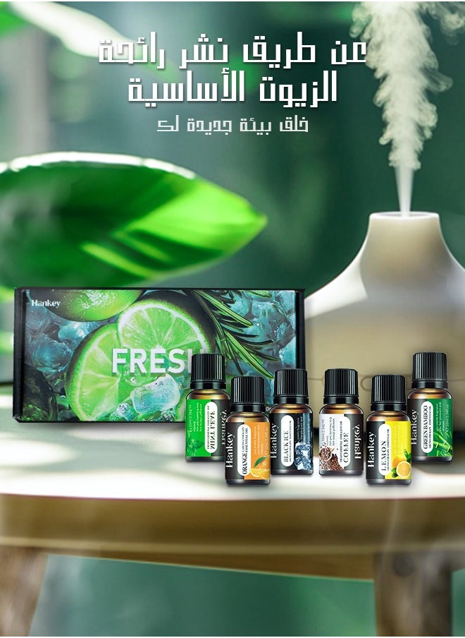 HANKEY - Essential Oils 6 Blends Set, Perfect for Humidifiers and Diffusers, Aromatherapy Diffuser Oils Scents, Essential Oil Kit for Home Use, Essential Oil Pack with Various Scents - Image 1