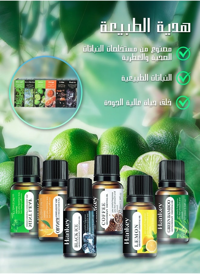 HANKEY - Essential Oils 6 Blends Set, Perfect for Humidifiers and Diffusers, Aromatherapy Diffuser Oils Scents, Essential Oil Kit for Home Use, Essential Oil Pack with Various Scents - Image 1