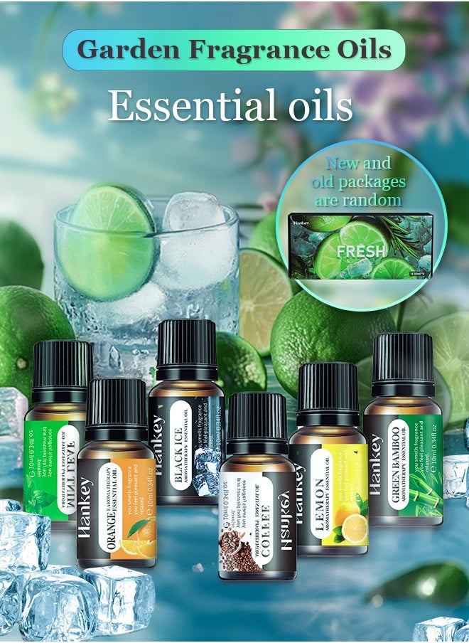 HANKEY - Essential Oils 6 Blends Set, Perfect for Humidifiers and Diffusers, Aromatherapy Diffuser Oils Scents, Essential Oil Kit for Home Use, Essential Oil Pack with Various Scents - Image 1