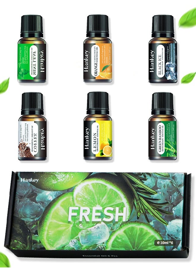 HANKEY - Essential Oils 6 Blends Set, Perfect for Humidifiers and Diffusers, Aromatherapy Diffuser Oils Scents, Essential Oil Kit for Home Use, Essential Oil Pack with Various Scents - Image 1