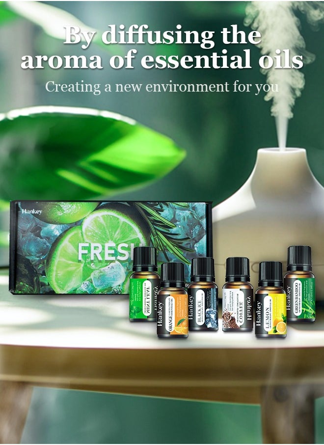 HANKEY - Essential Oils 6 Blends Set, Perfect for Humidifiers and Diffusers, Aromatherapy Diffuser Oils Scents, Essential Oil Kit for Home Use, Essential Oil Pack with Various Scents - Image 1