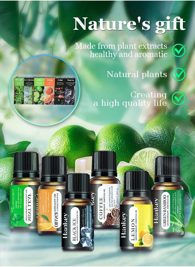 HANKEY - Essential Oils 6 Blends Set, Perfect for Humidifiers and Diffusers, Aromatherapy Diffuser Oils Scents, Essential Oil Kit for Home Use, Essential Oil Pack with Various Scents - Image 1