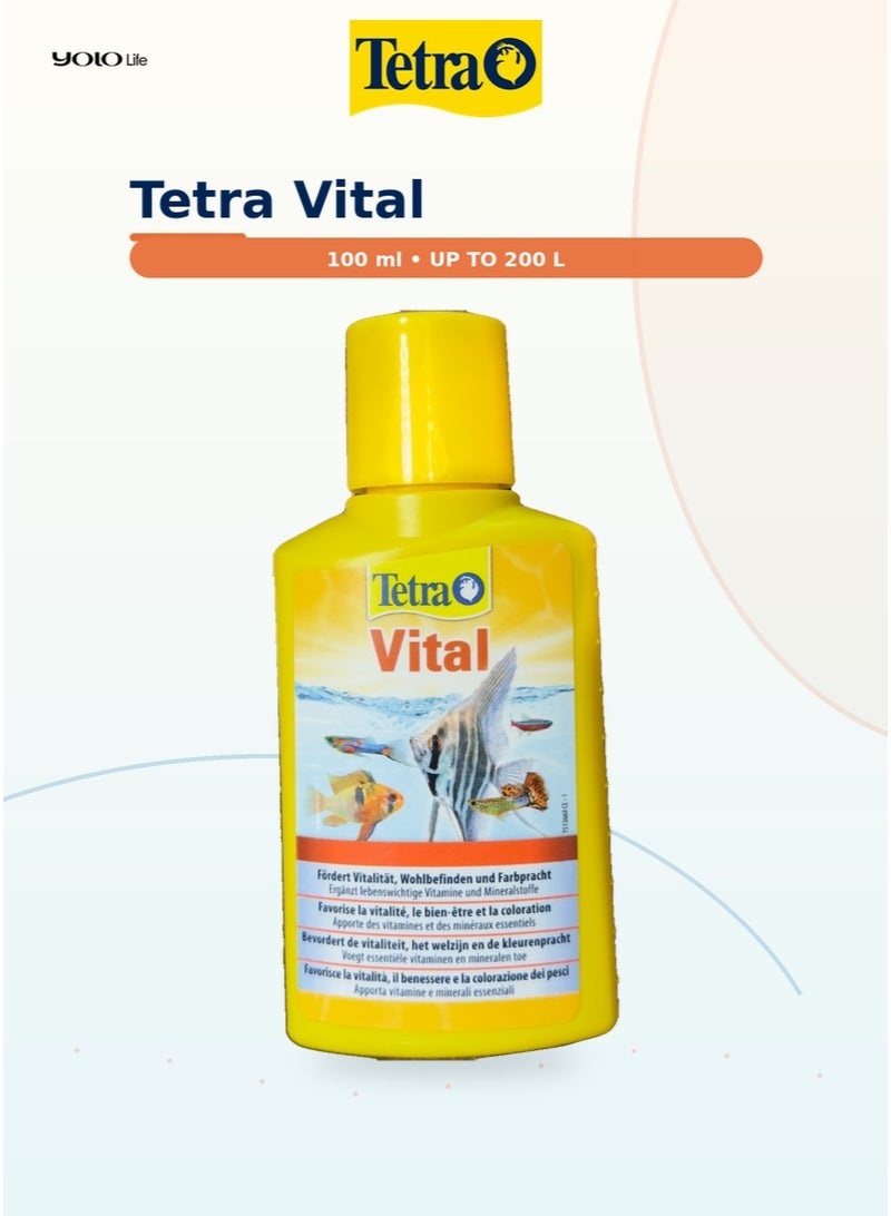 تترا Tetra Vital 100 مل مكمل فيتامينات ومعادن لحوض السمك، فيتامينات B والمغنيسيوم واليود لأسماك المياه العذبة، يعزز الحيوية واللون الطبيعي وجاهزية التكاثر - Image 1