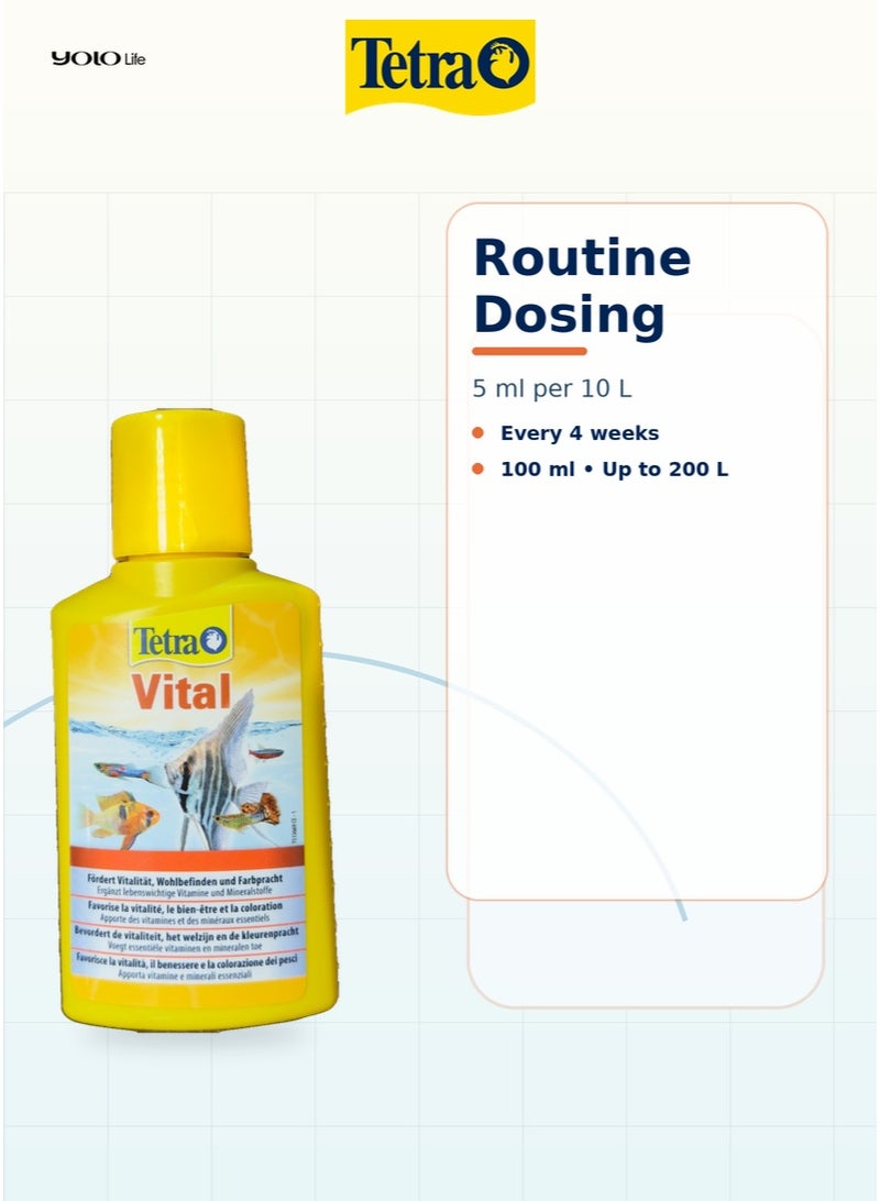 تترا Tetra Vital 100 مل مكمل فيتامينات ومعادن لحوض السمك، فيتامينات B والمغنيسيوم واليود لأسماك المياه العذبة، يعزز الحيوية واللون الطبيعي وجاهزية التكاثر - Image 3