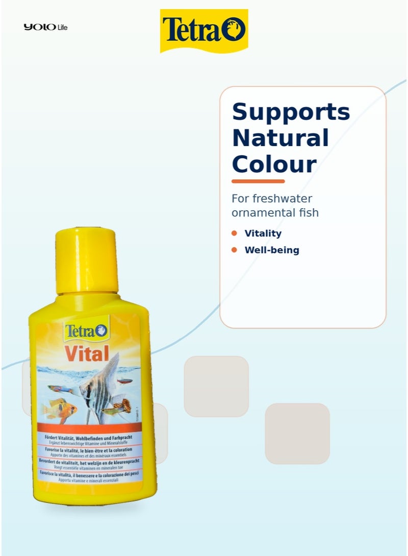 تترا Tetra Vital 100 مل مكمل فيتامينات ومعادن لحوض السمك، فيتامينات B والمغنيسيوم واليود لأسماك المياه العذبة، يعزز الحيوية واللون الطبيعي وجاهزية التكاثر - Image 4